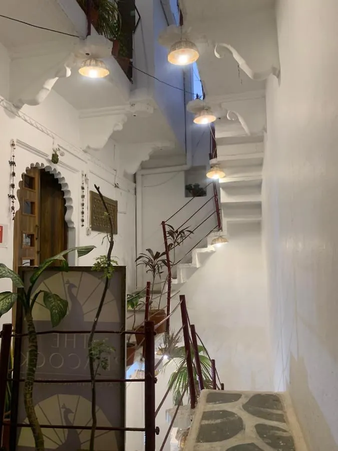 Peacock Guest House - Lake View Hotel In Udaipur