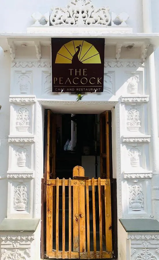 Peacock Guest House - Lake View Hotel In Udaipur